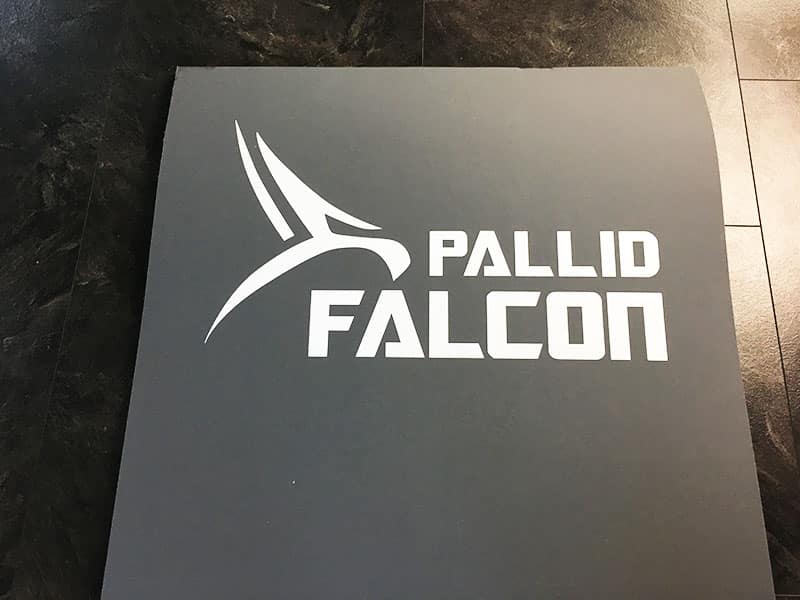 Fitnessmatte Test Pallid Falcon Impact Logo